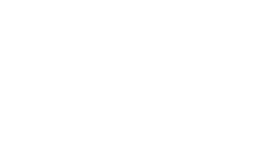 Voxtron Contact Center Partner- aptean logo